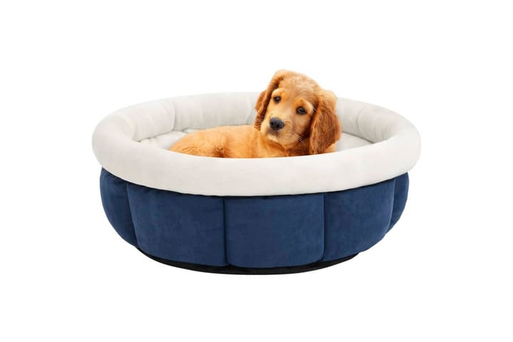 Koiran sänky 50x50x22 cm sininen - Sininen - Koiran peti & koiran sänky - Koirien kalusteet