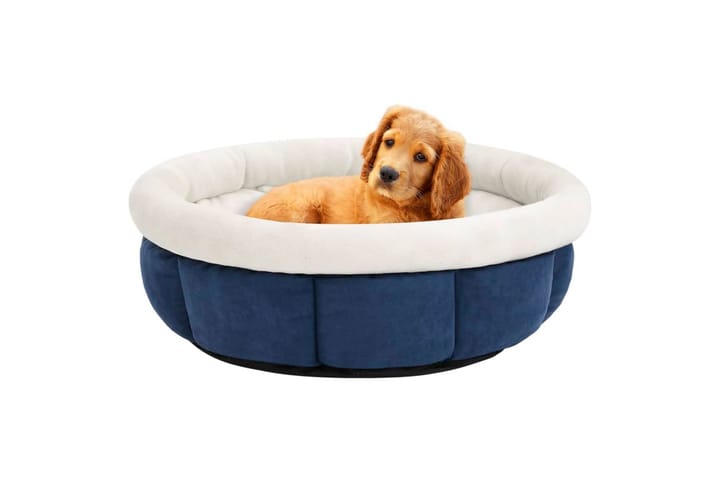 Koiran sänky 59x59x24 cm sininen - Sininen - Koiran peti & koiran sänky - Koirien kalusteet