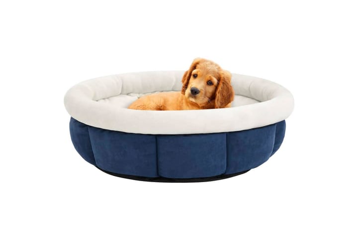 Koiran sänky 70x70x26 cm sininen - Sininen - Koiran peti & koiran sänky - Koirien kalusteet