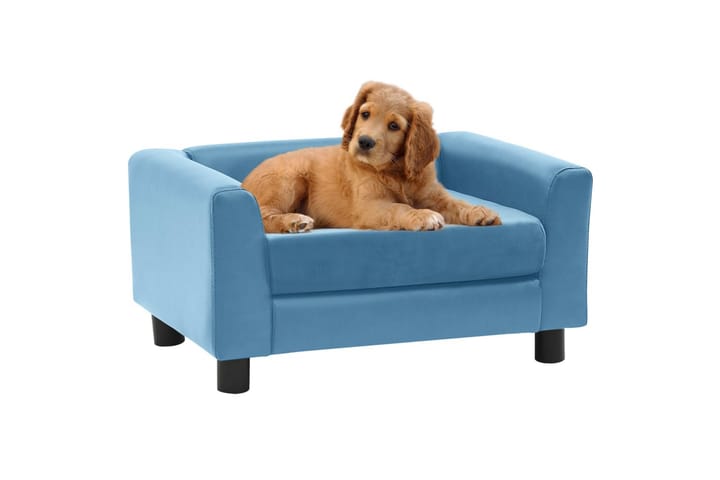Koiran sohva turkoosi 60x43x30 cm plyysi ja keinonahka - Turkoosi - Koirien kalusteet - Koiran peti & koiran sänky
