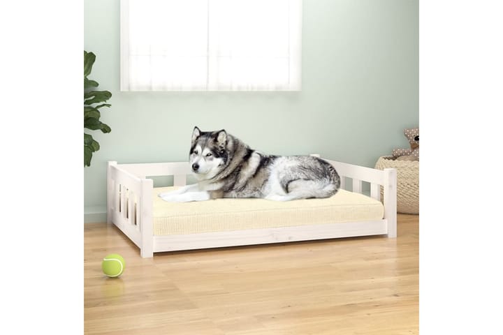 Koiransänky valkoinen 105,5x75,5x28 cm täysi mänty - Valkoinen - Koiran peti & koiran sänky - Koirien kalusteet