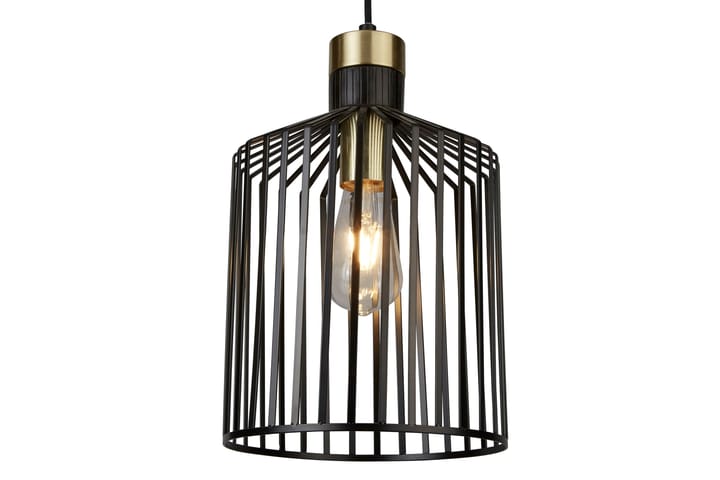 Riippuvalaisin Bird Cage 1L Musta / Kulta - Searchlight - Kattovalaisin
 - Kattovalaisin keittiö - Kattovalaisin makuuhuone - PH lamppu - Kaarivalaisin - Lightbox - Riippuvalaisimet - Ikkunavalaisin riippuva - Olohuoneen valaisin - Verkkovalaisin - Tiffanylamppu - Riisipaperivalaisin