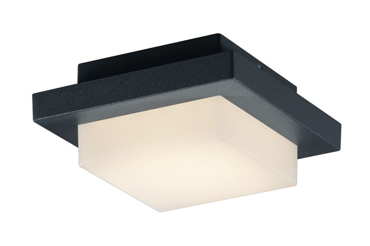 LED-Katto/Seinävalaisin Hondo 3,5W Musta - TRIO - Riisipaperivalaisin - Kaarivalaisin - Seinävalaisimet - Tiffanylamppu - Verkkovalaisin - PH lamppu - Lightbox